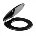 Accesorii Vase Toaleta