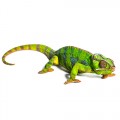 Reptile