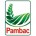 Pambac